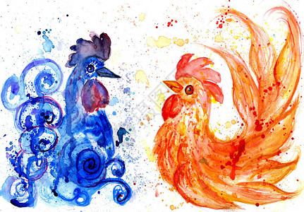 程式化的蓝色和橙色公鸡水彩插图图片