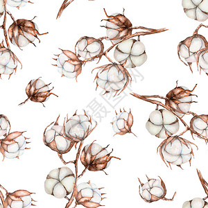 无缝水色棉花枝的无缝结构手画在白色背景图片