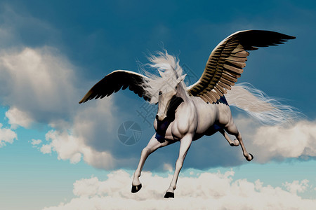 一匹白色的飞马种在蓬松的云层中高飞翔图片