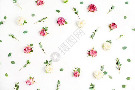 玫瑰花和桉树枝的花框环在白色背景平躺图片