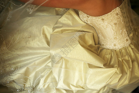 新娘美丽的金色礼服背景图片