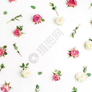 花框由白色背景上的红色和白色玫瑰花和桉树枝制成图片