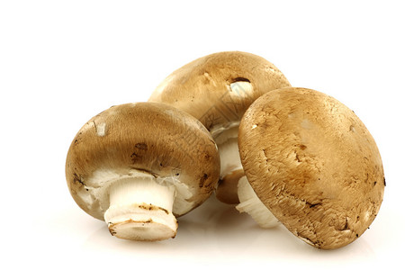 白色背景上的三个棕色香菇图片