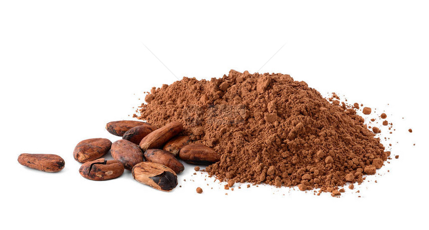 Cacao粉末和可图片