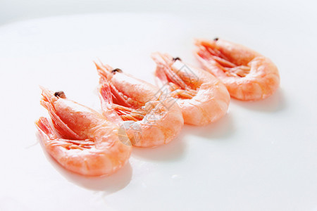 在白色背景上排成一排的美味虾的图像图片
