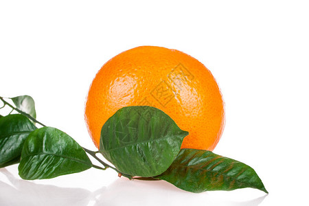 孤立在白色背景上的橙色水果图片