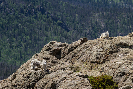 奥雷姆诺斯在南达科他州一个大悬崖上站在山背景