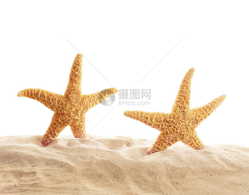 沙子上的海星图片