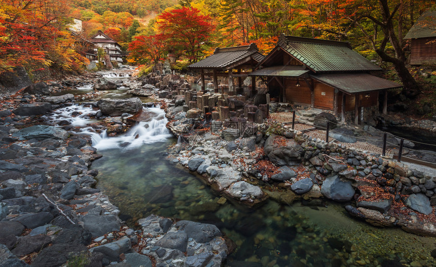 日本在狭窄岩石河岸的秋树间图片