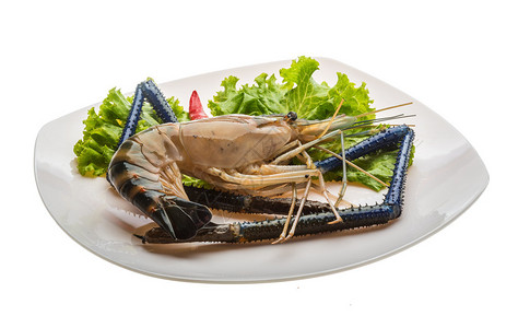 准备烹调的大淡水虾背景图片