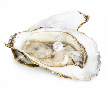 牡蛎与珍珠特写孤立在白色背景上图片