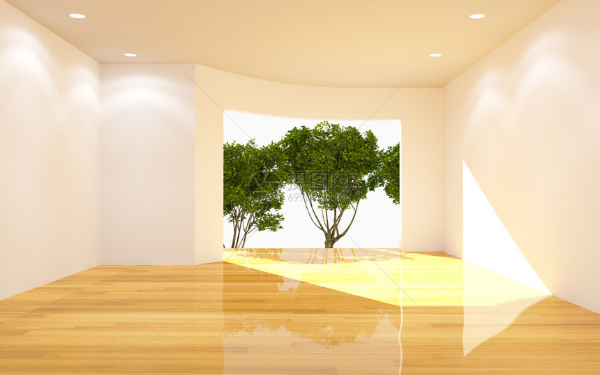 室内白色房间树视图曲线墙与木地板自然光图片