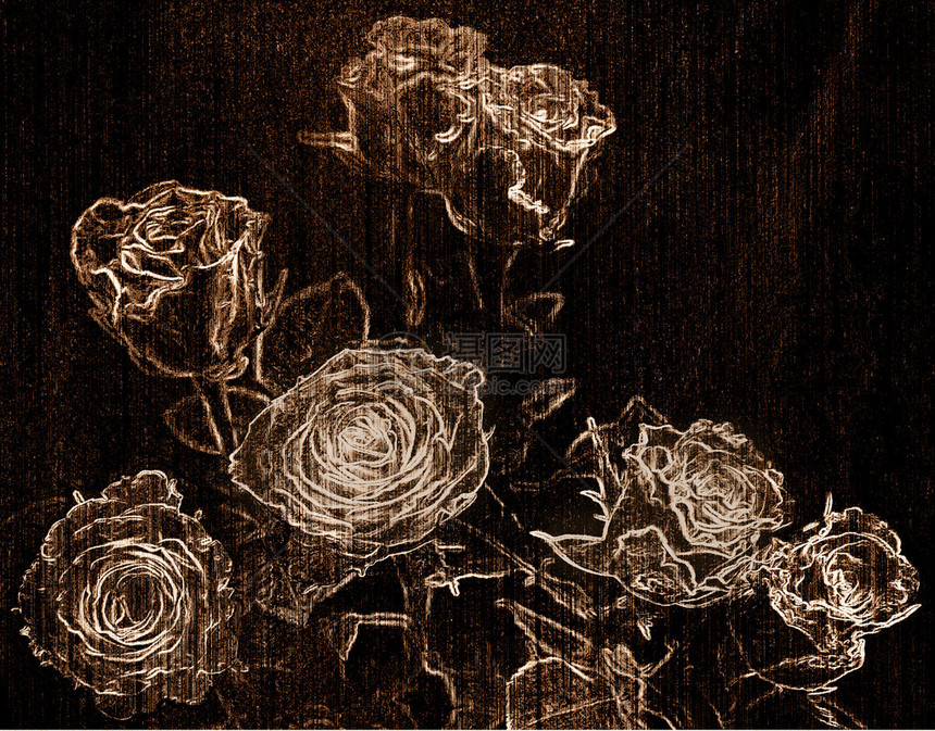 条纹暗墙背景与白玫瑰花束素描图片