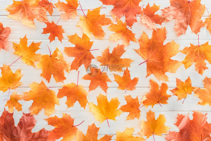 木质表面橙色秋季枫叶的顶视图图片