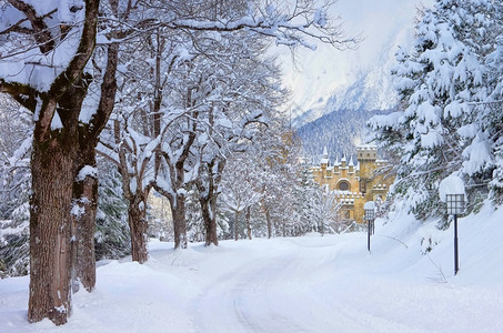 冬天的泽费尔德城堡图片