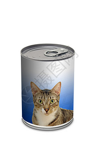 Catfoodcan通用背景图片