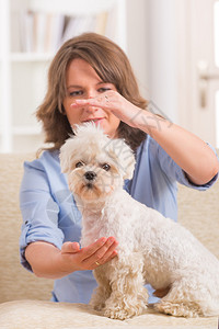 女人为狗做里基疗法图片