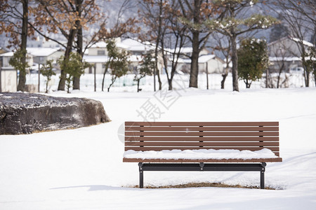 雪地上的公用木椅子日图片