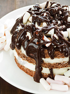 巧克力蛋糕加酸奶油冰图片