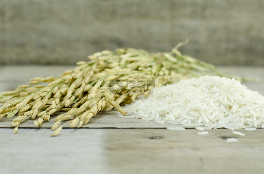 白米和稻谷堆的形象图片