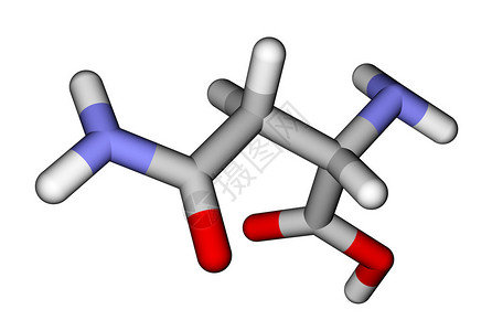 氨基酸天冬酰胺3D分子模型背景图片