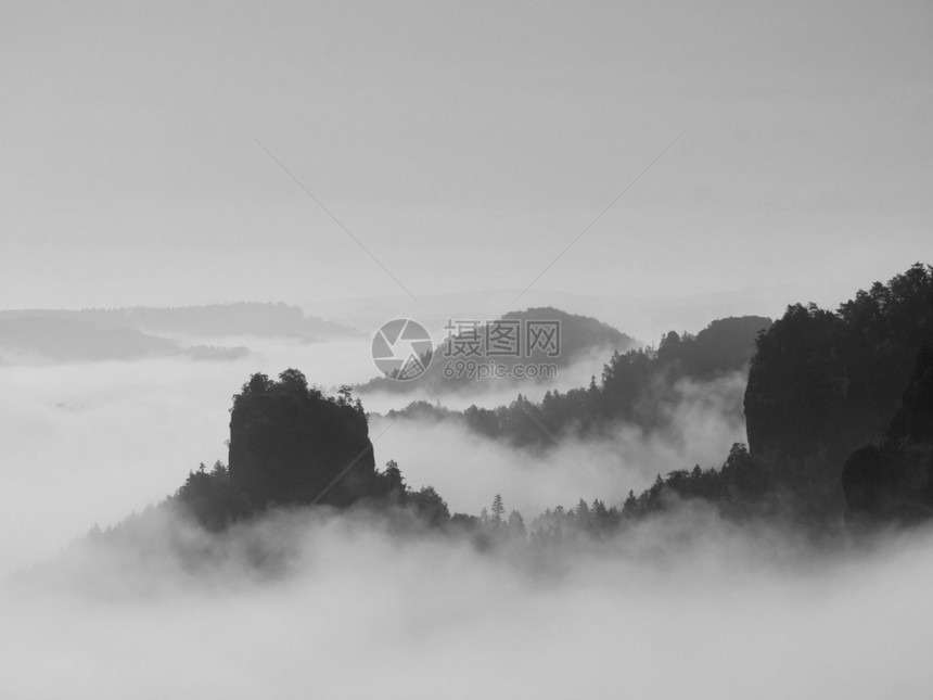 秋天的风景被浓雾遮盖观察德公园欧洲深雾谷黑白图图片