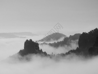 秋天的风景被浓雾遮盖观察德公园欧洲深雾谷黑白图背景图片