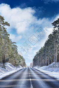 冬季森林中的汽车路图片