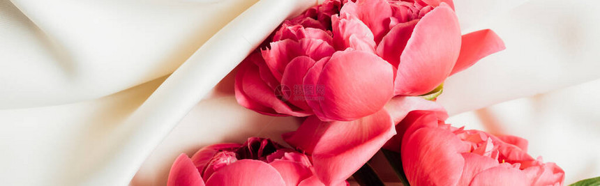 白布上粉红色牡丹花束的顶视图全景拍摄图片