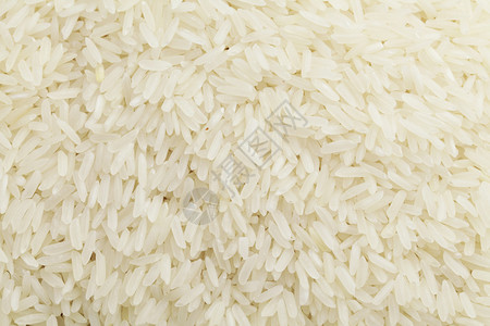 未煮熟稻米图片