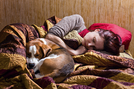 熟睡的女人和它的狗图片