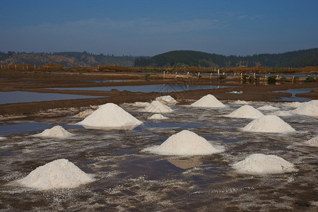 在智利海岸Cahuil特别建造的环礁湖中使用传统手工艺方法制图片