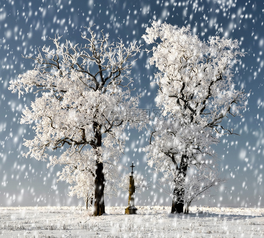 白雪皑的冬季景观图片