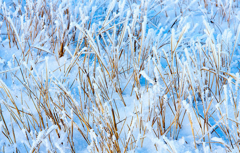 含有雪中干草和雪中的干草的图片