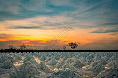早晨的盐场与日出的天空有机海盐海水的蒸发和结晶盐工业原料氯化钠太阳能蒸背景图片