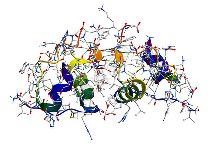 胰岛素分子结构高清图片