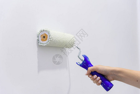 用油漆滚筒用白色油漆刷出白色的墙壁用油漆滚筒关闭女手绘墙在房子概图片
