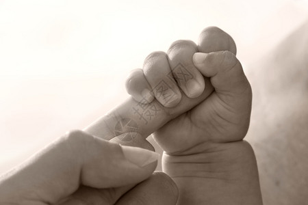 婴儿牵着父母的手图片