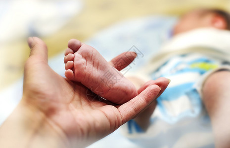 新生儿的小腿在他母亲的手中图片
