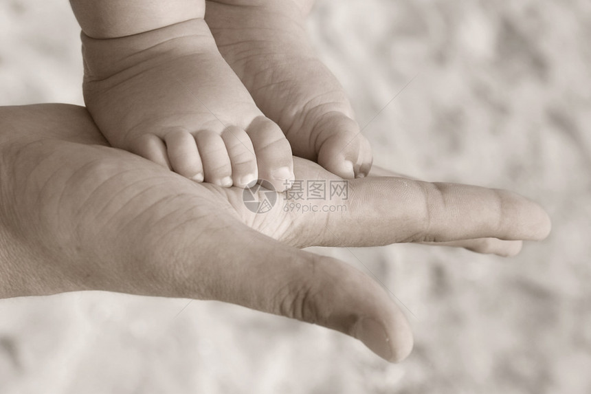 父母手上的婴儿脚图片