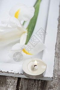 白色硬木桌上点燃的蜡烛和鸢尾花图片