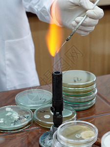 实验室技术人员在实验室燃烧器火焰图片