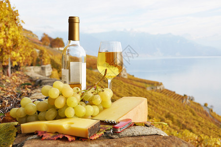 瑞士Lavaux地区葡萄园露台的白葡萄酒图片