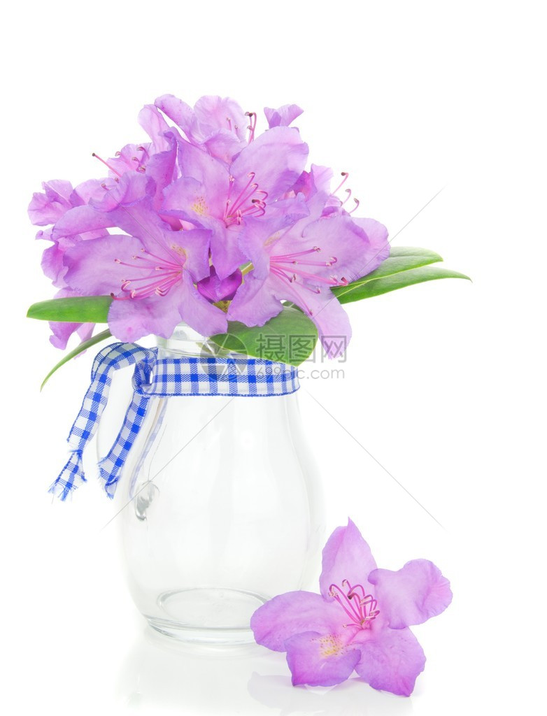 在玻璃瓶花里开花的图片