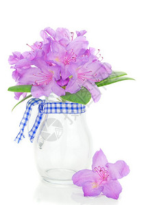 在玻璃瓶花里开花的高清图片