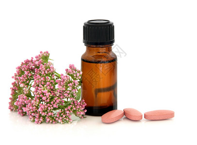 配有芳香疗法基本油瓶的Valerian药草花和白图片