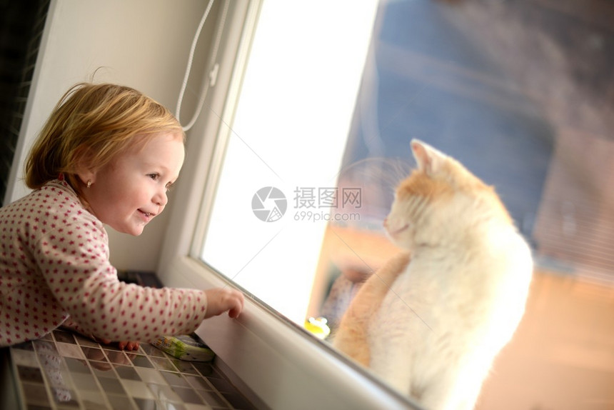小女孩在猫的窗口图片