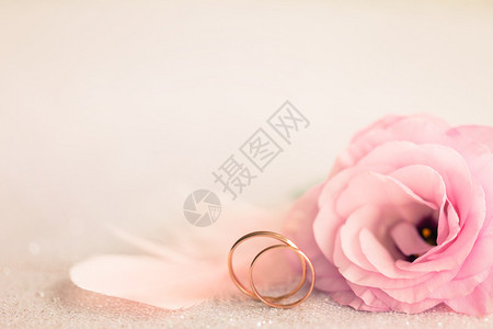 与金环的婚礼尤斯托马玫瑰花朵图片