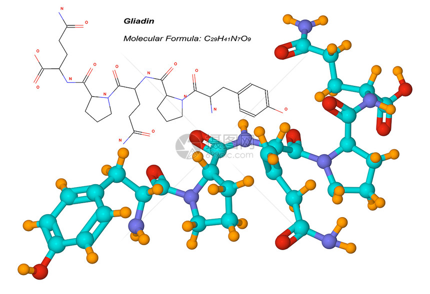 Gliadin分子是谷浆元素的组成部分图片