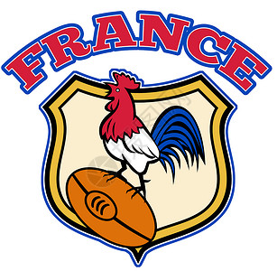 叫花童鸡说明法国的一只公鸡在橄榄球顶上用盾牌摇叫设计图片
